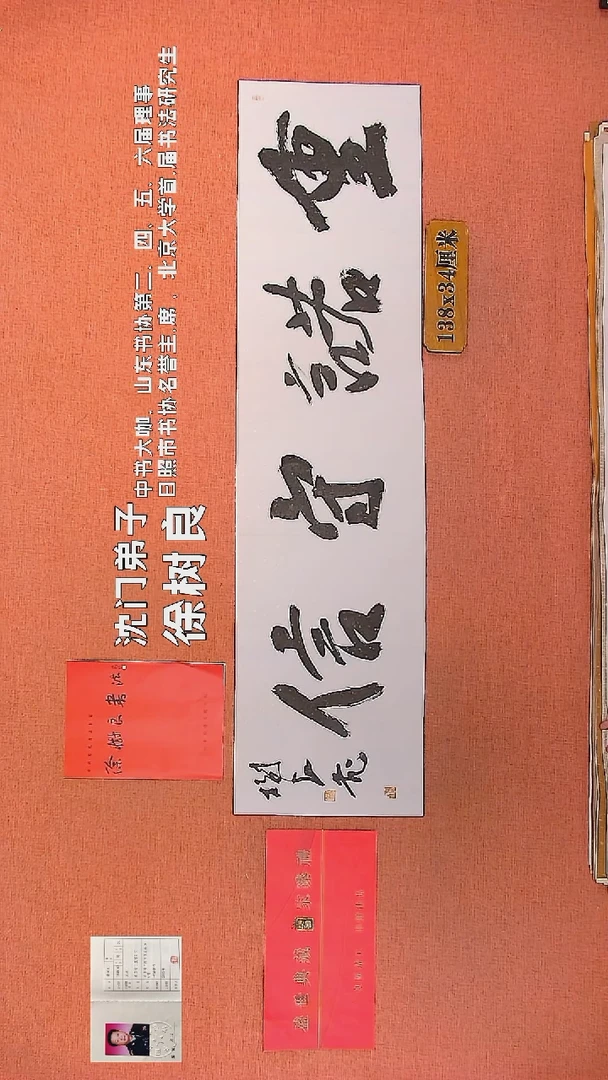 【闪购商品】书法41        徐树良书法作品