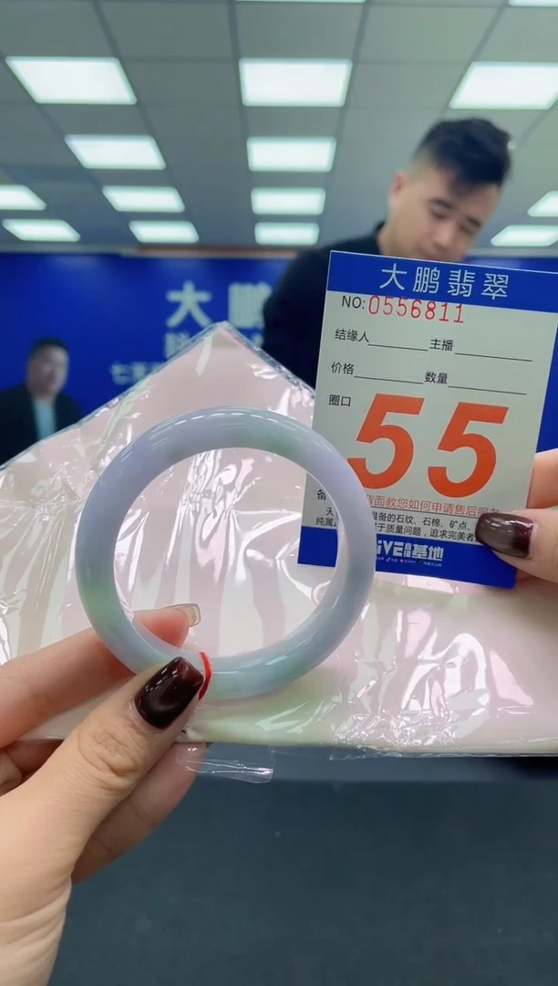 未镶嵌手镯翡翠AAAAAAAAAA