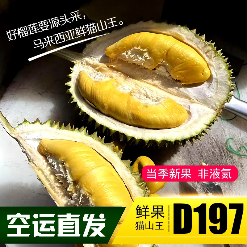2区【一物一拍】猫山王/黑刺（顺丰空运）