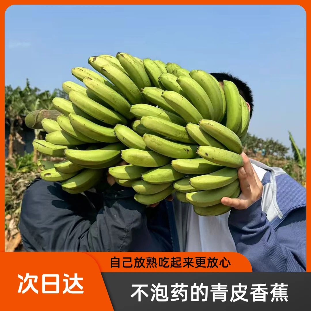 【次日达】云南高山青皮香蕉【个头不大】自己放熟更放心3-5斤装