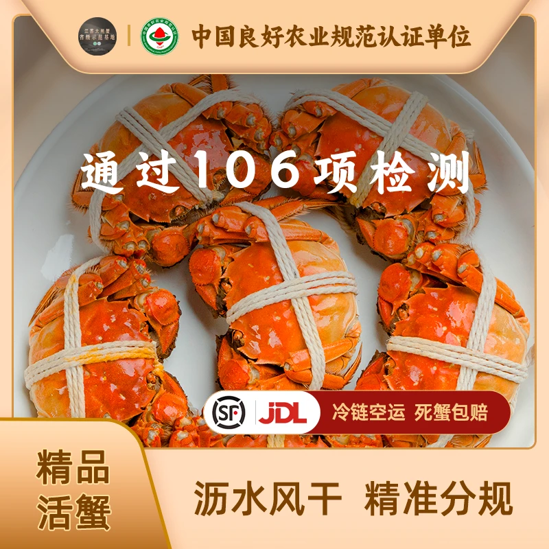 【出口活蟹】核心湖区精品大闸蟹 母蟹4.1-3.8两 8只+1G 顺丰/京东