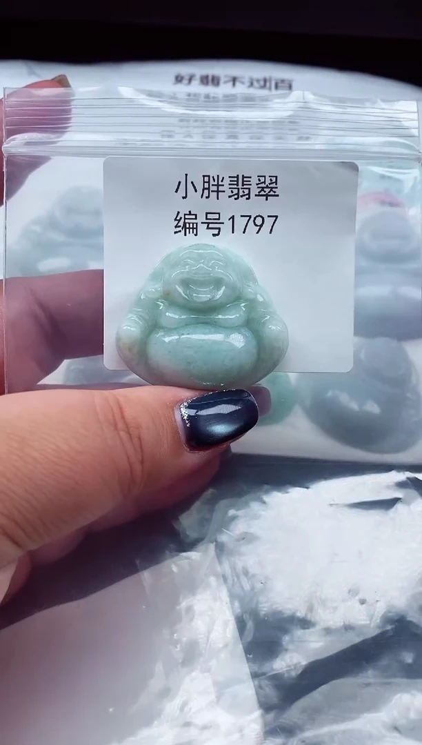 颈饰未镶嵌翡翠缅甸天然A货翡翠1797