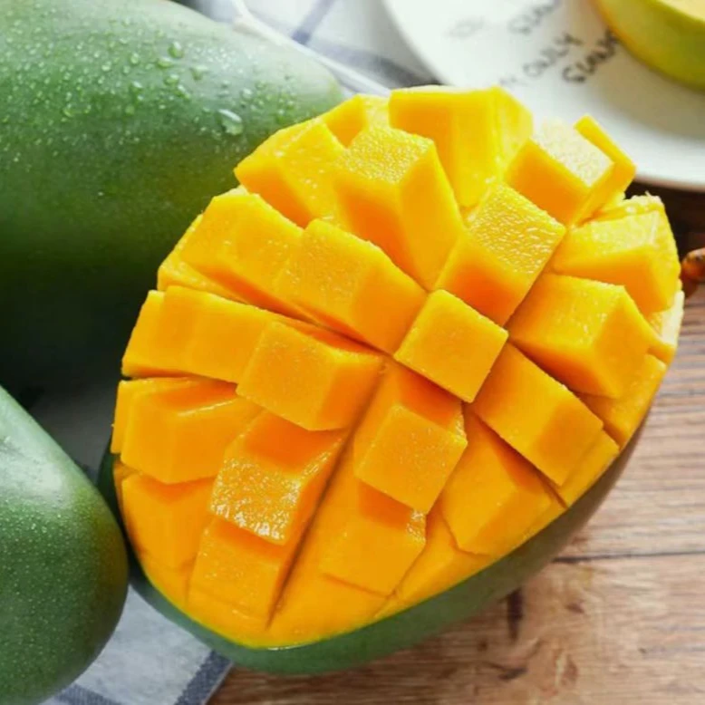 正宗攀枝花凯特芒催熟食用大脸芒软糯香甜皮薄肉厚应季水果