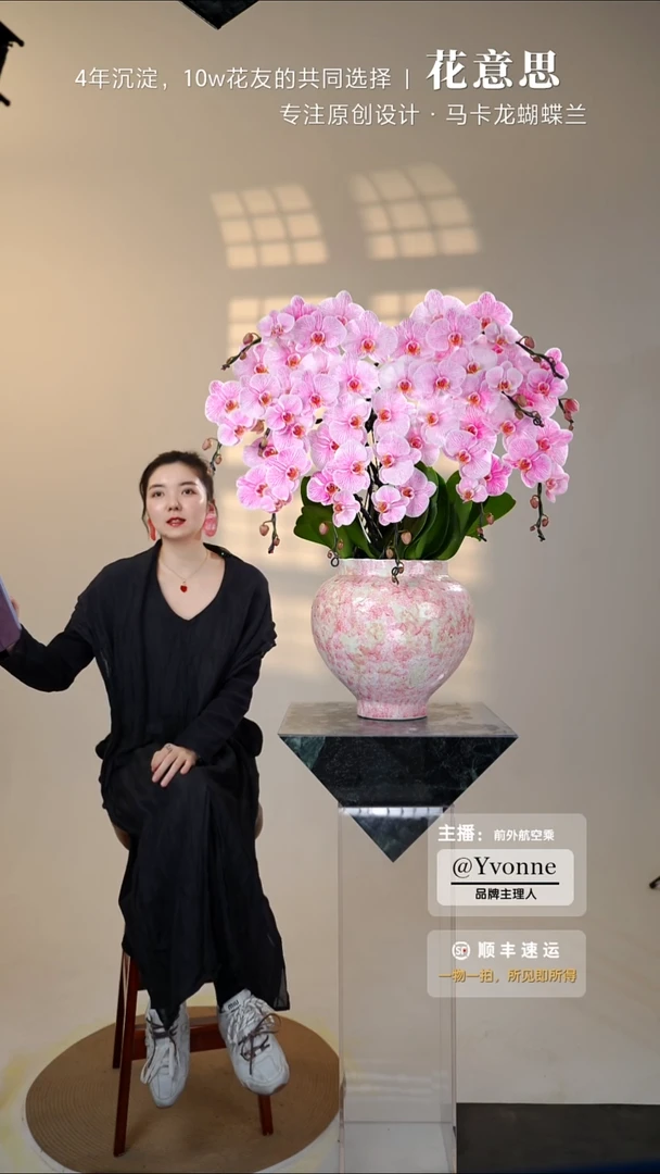 全部花朵001一物一拍蝴蝶兰艺术盆景