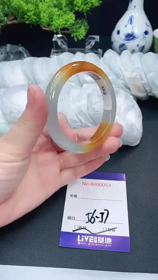 未镶嵌手镯翡翠53