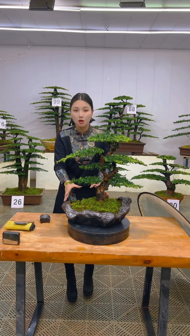 无花朵一物一拍一物一拍