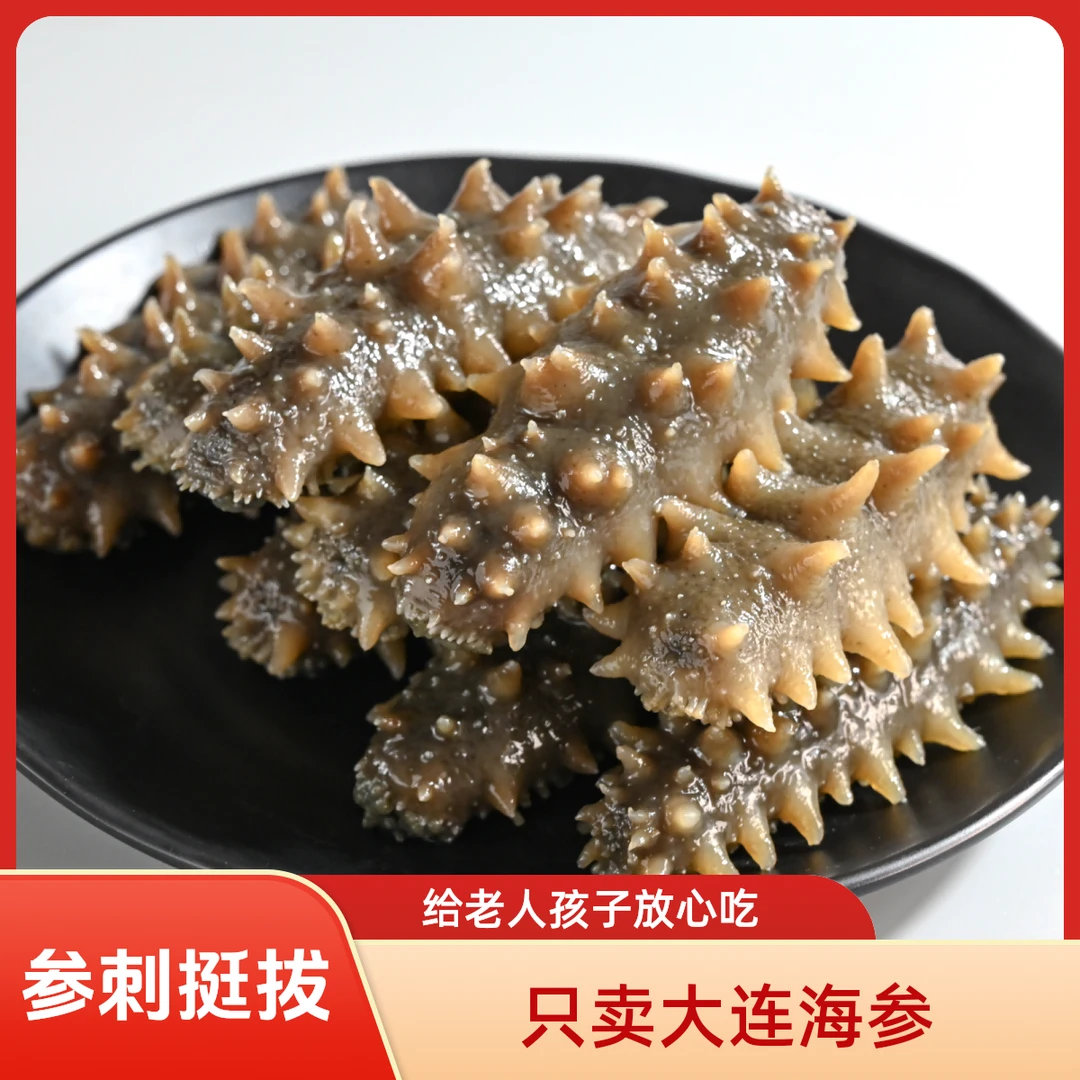 【大连海参】正宗大连即食海参参壁厚实8-12头500g 顺丰京东包邮