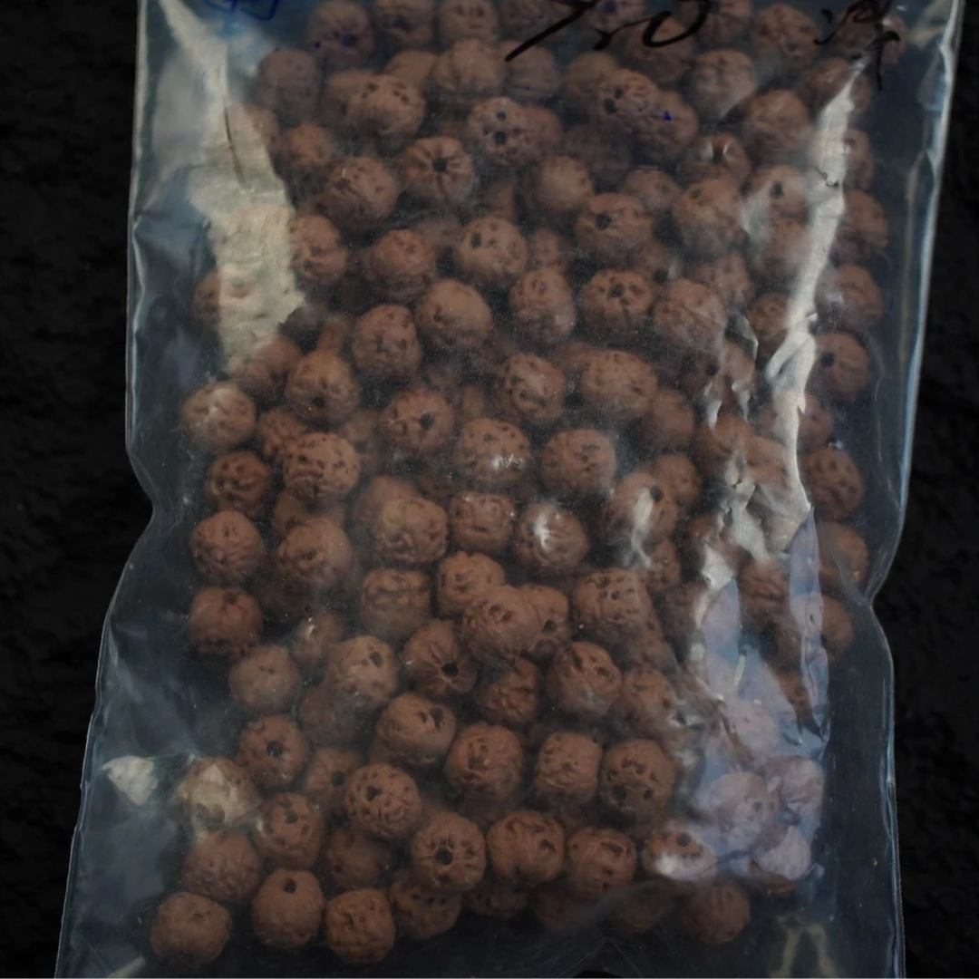 大喜精选-佛手小金刚原桩散籽（产品特殊不支持退货退款）