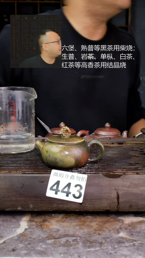 壶四大名陶钦州坭兴陶443