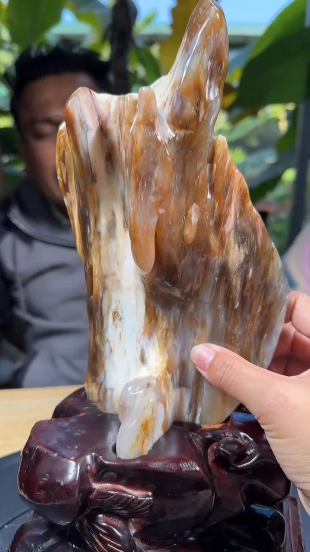 【闪购商品】硅化玉珠宝奇石未镶嵌拍一发一