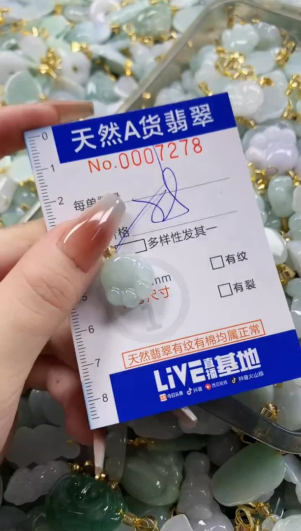 颈饰未镶嵌翡翠天然A货翡翠