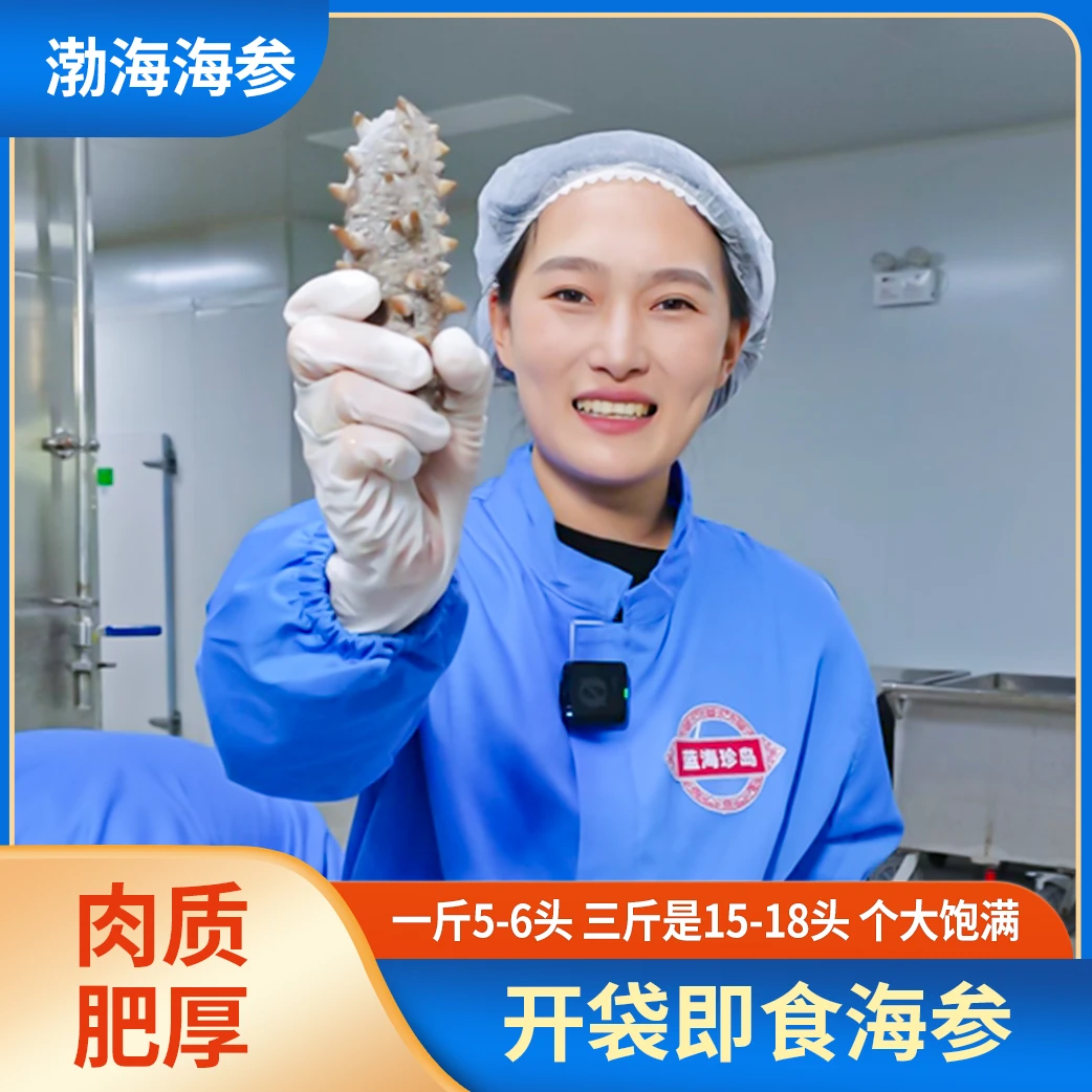 蓝海珍岛即鲜海参 肉质肥美口感劲道500G*1一头12-13cm