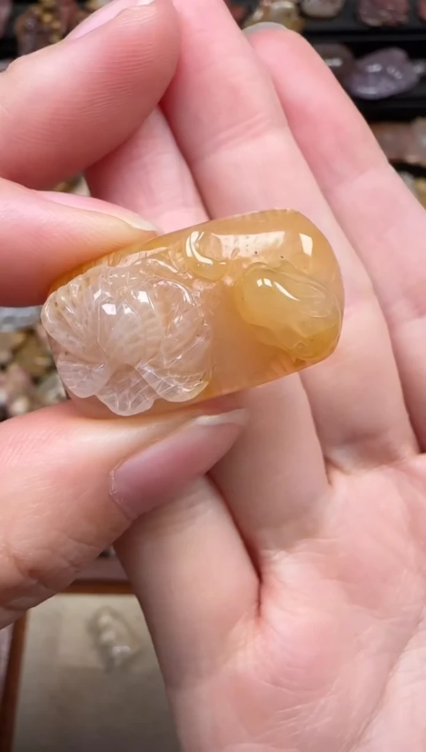 颈饰未镶嵌硅化珊瑚（珊瑚玉）239