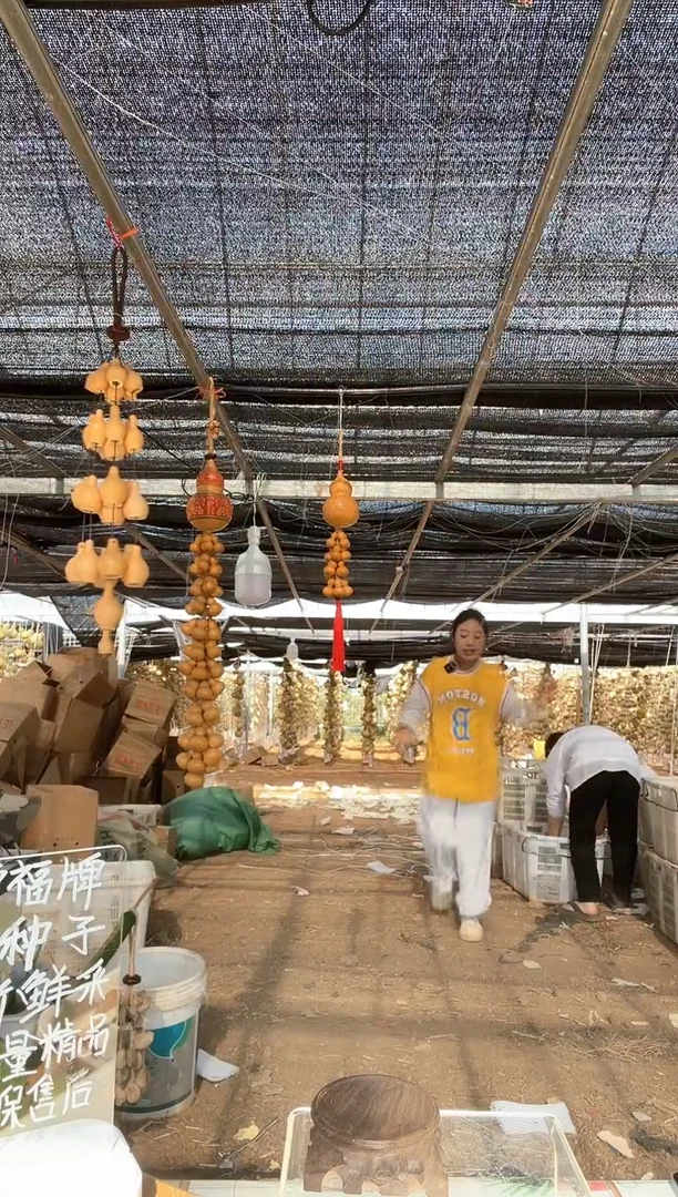 060天然葫芦摆件 一物一拍龙头不保售后
