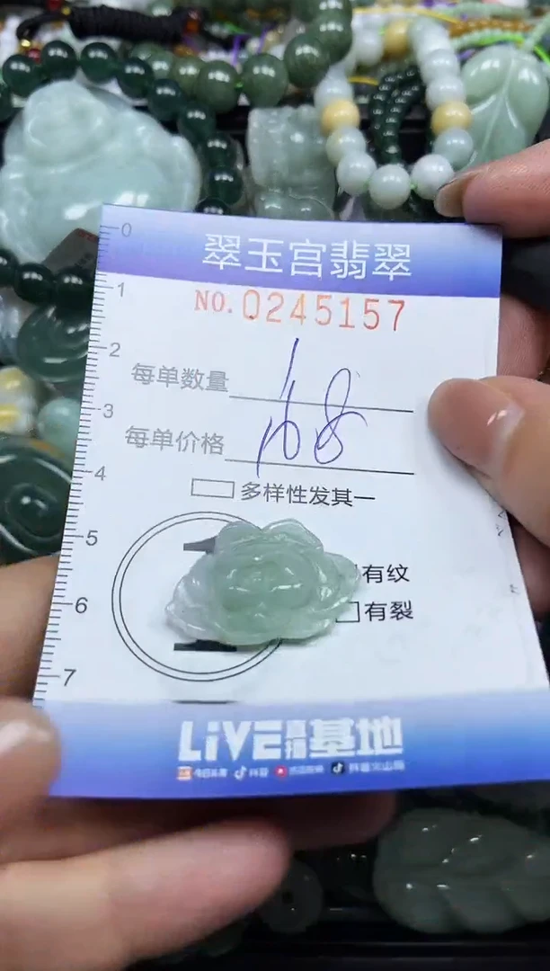 颈饰未镶嵌翡翠闪购C0245157