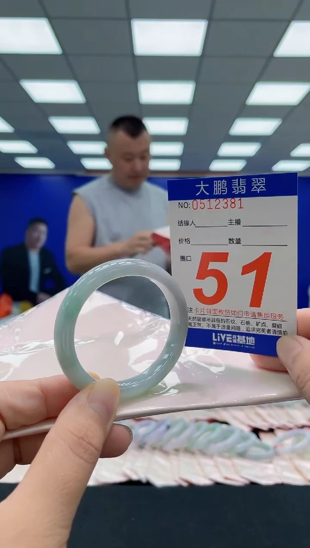 未镶嵌手镯翡翠AAAAAAAAA
