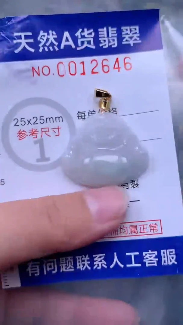 翡翠未镶嵌吊坠(不含链)1