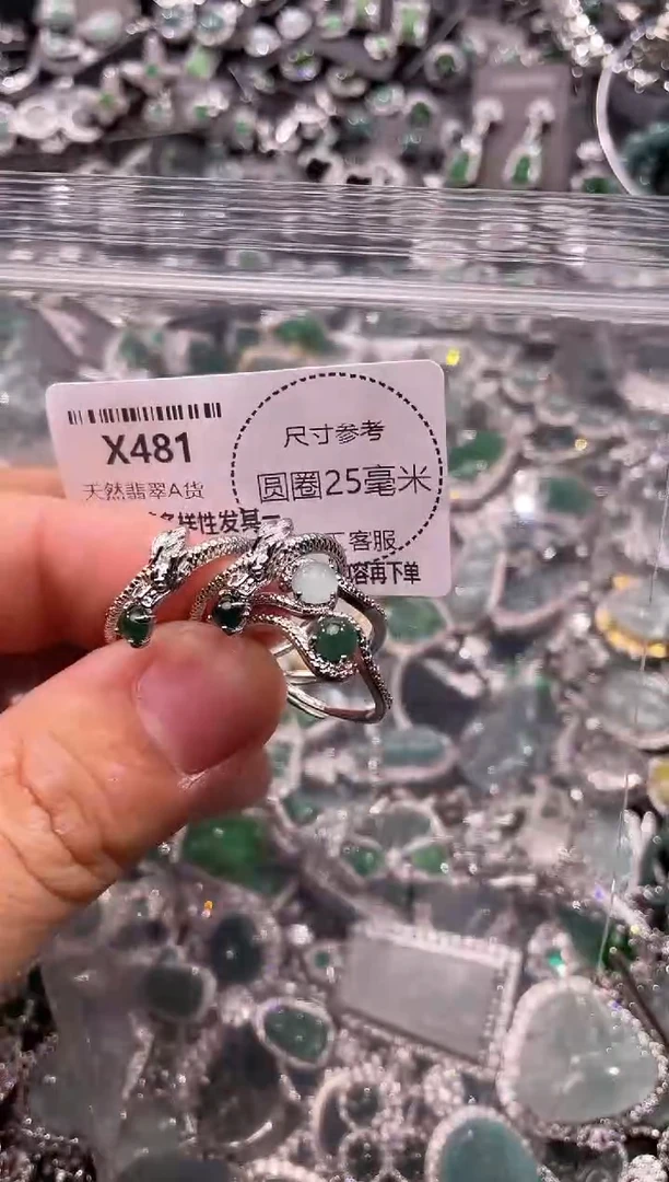 翡翠未镶嵌颈饰X481戒指 多样性发其二