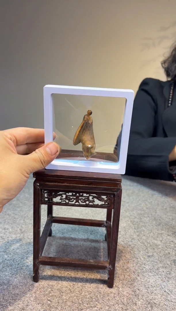 柏木（崖柏）帝****号崖柏崖柏