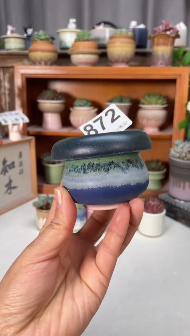 瓷片872小芳直播编号