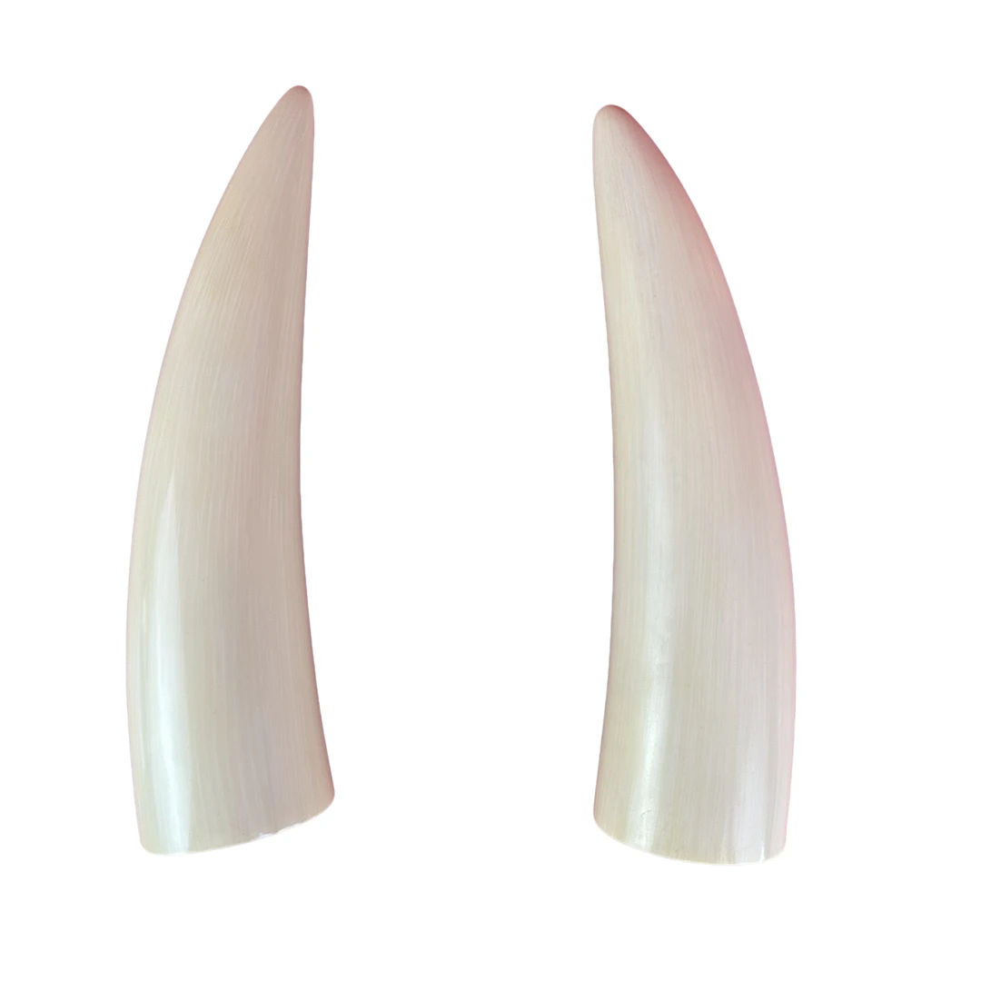 摆件饰品尖尖空间室内单摆件大自然的馈赠