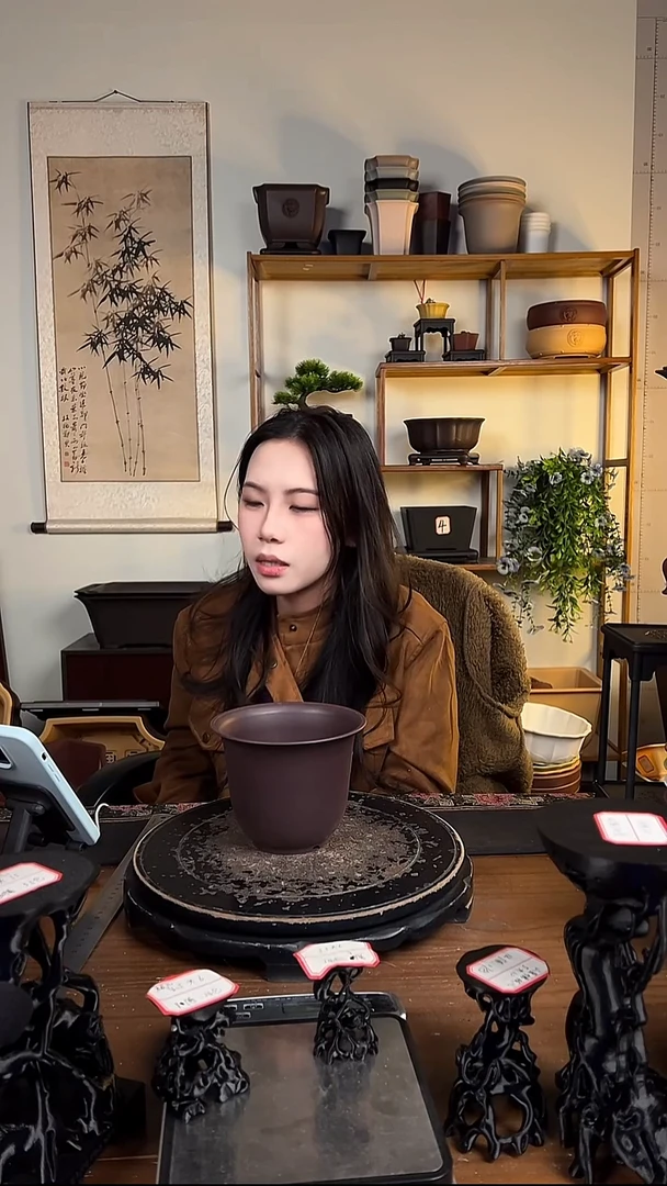 10只15口径金钟紫檀色