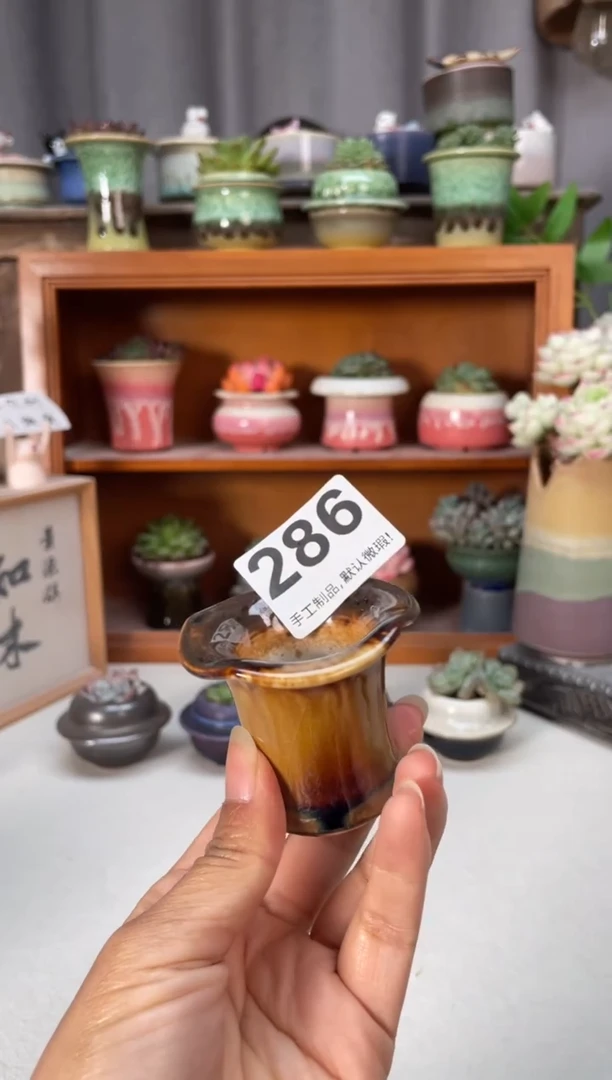 瓷片286知木小芳花盆