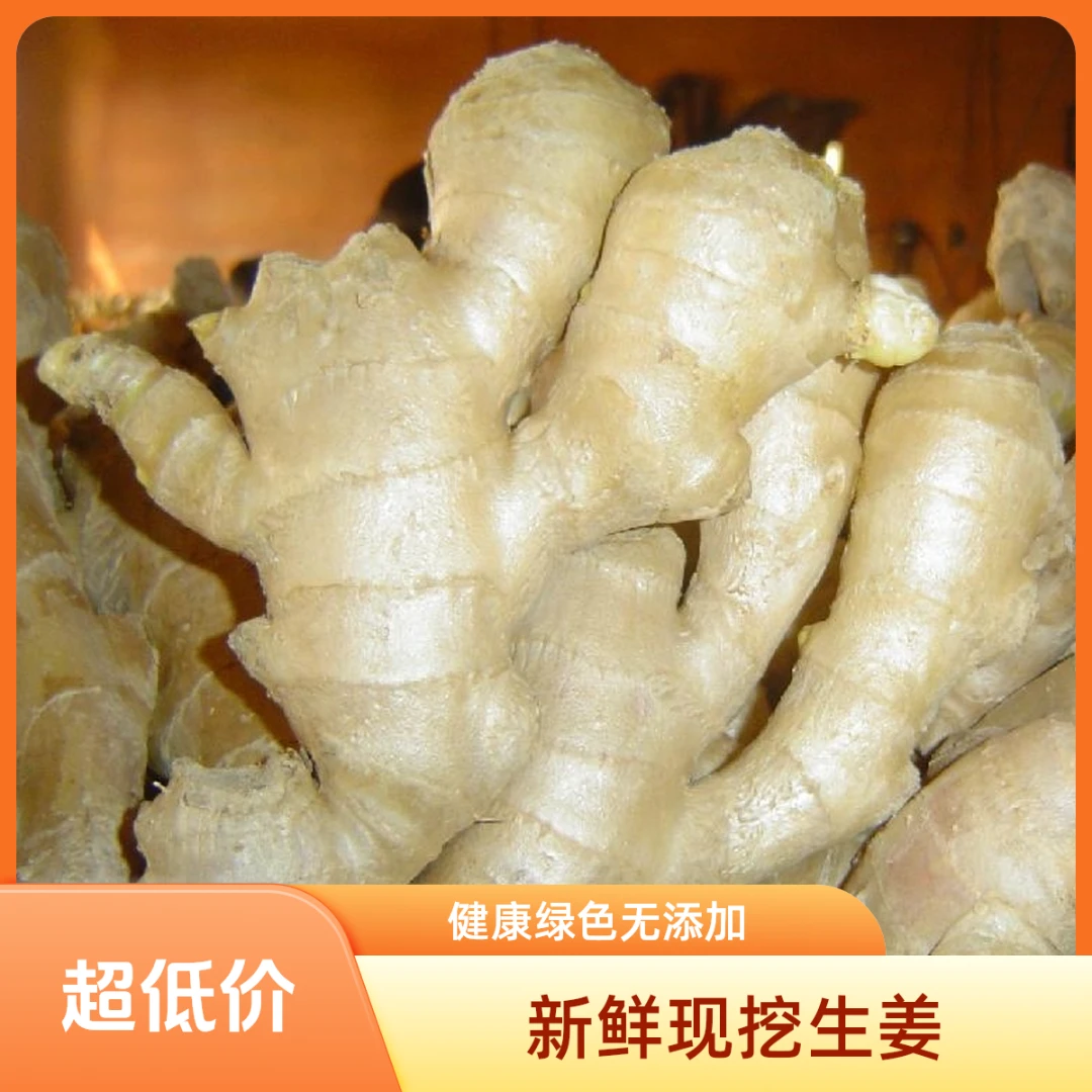 正宗山东大姜微泥干姜新鲜微泥生姜老姜辛辣味浓