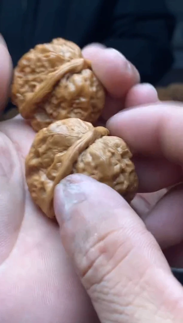 把件文玩核桃蛤蟆头a339