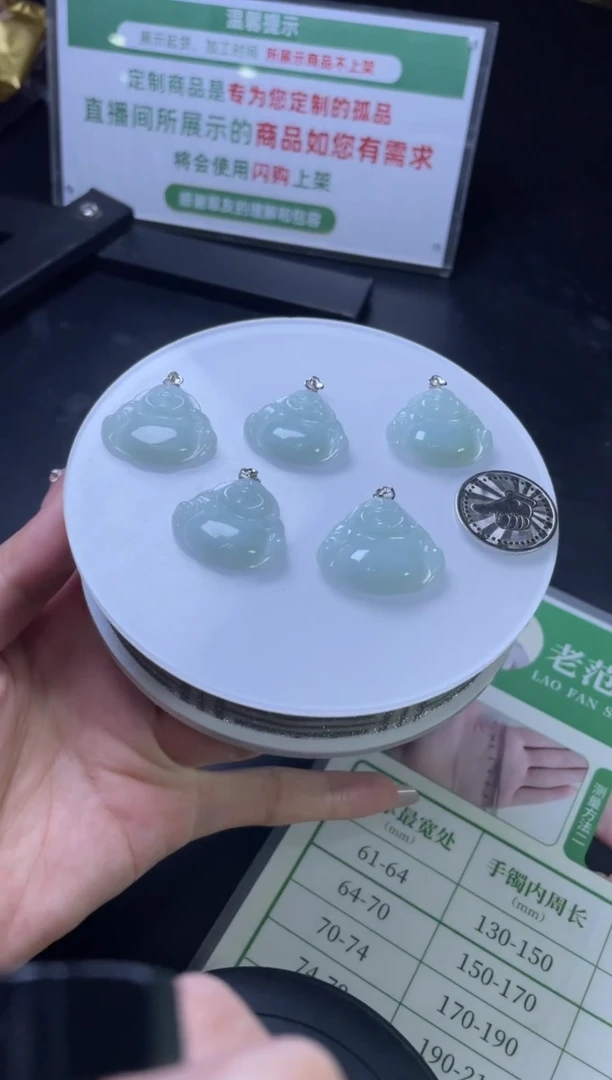 【闪购商品】翡翠颈饰银S925镶嵌W008-70666多样性发一