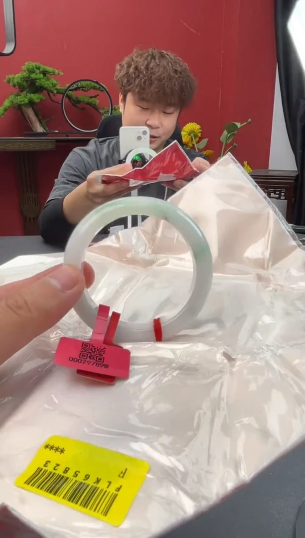 未镶嵌手镯翡翠5