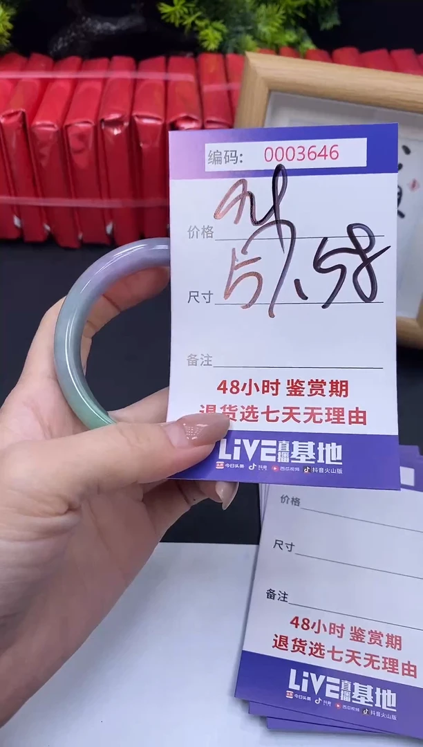 未镶嵌手镯翡翠0003646