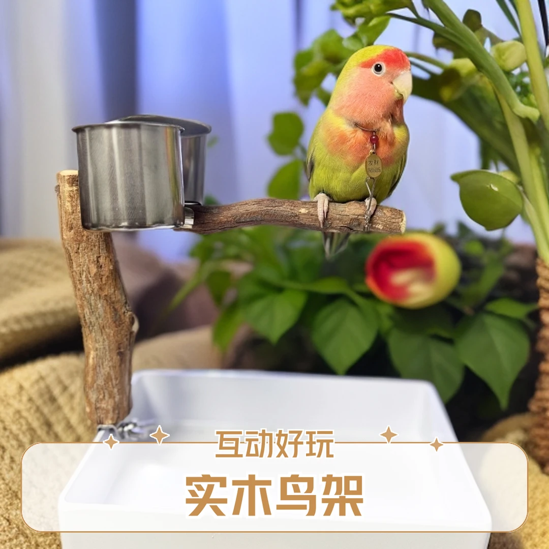 原木鸟站架小鸟架子桌面定点拉屎站台中小型牡丹虎皮玄凤鹦鹉专用