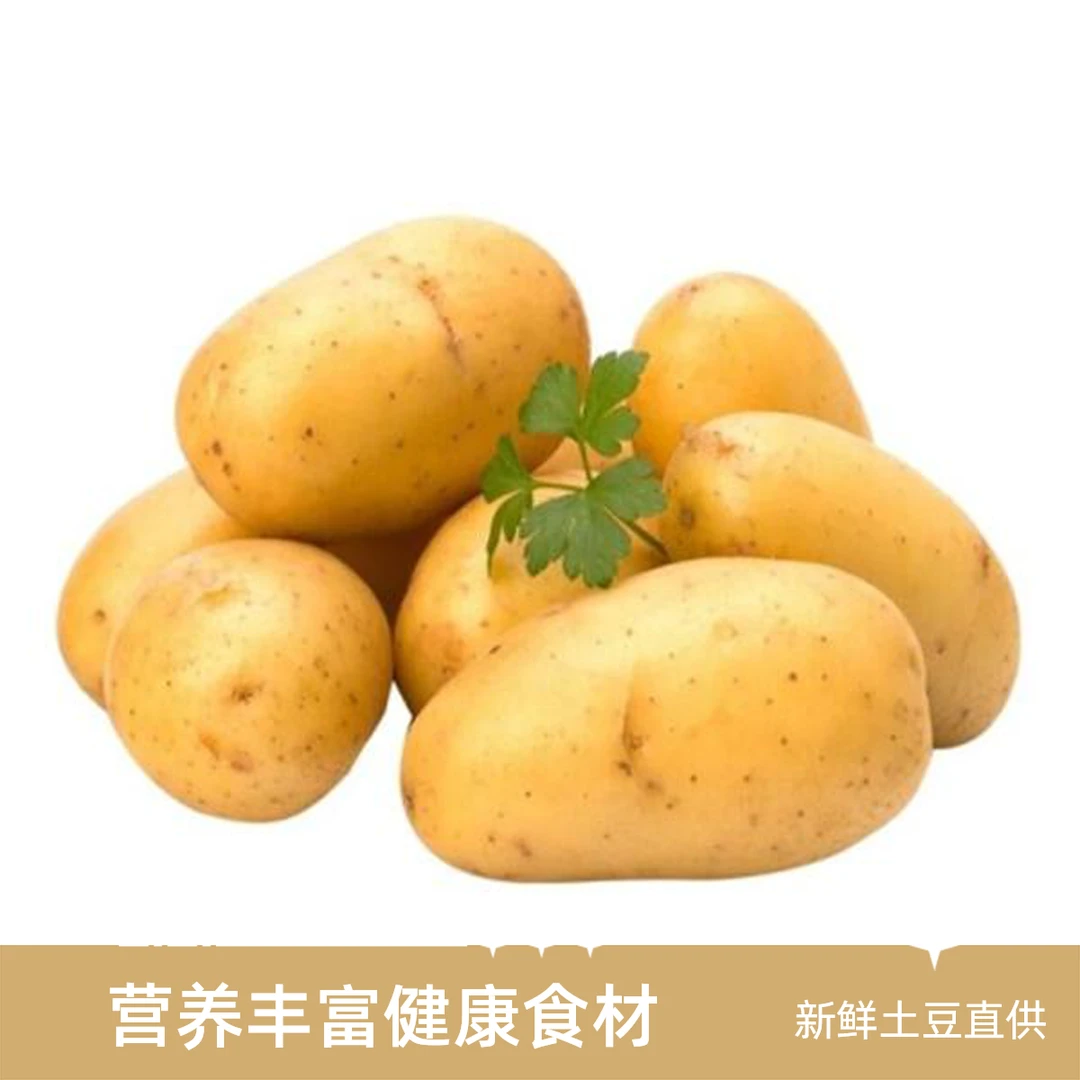 精选精品新鲜大土豆