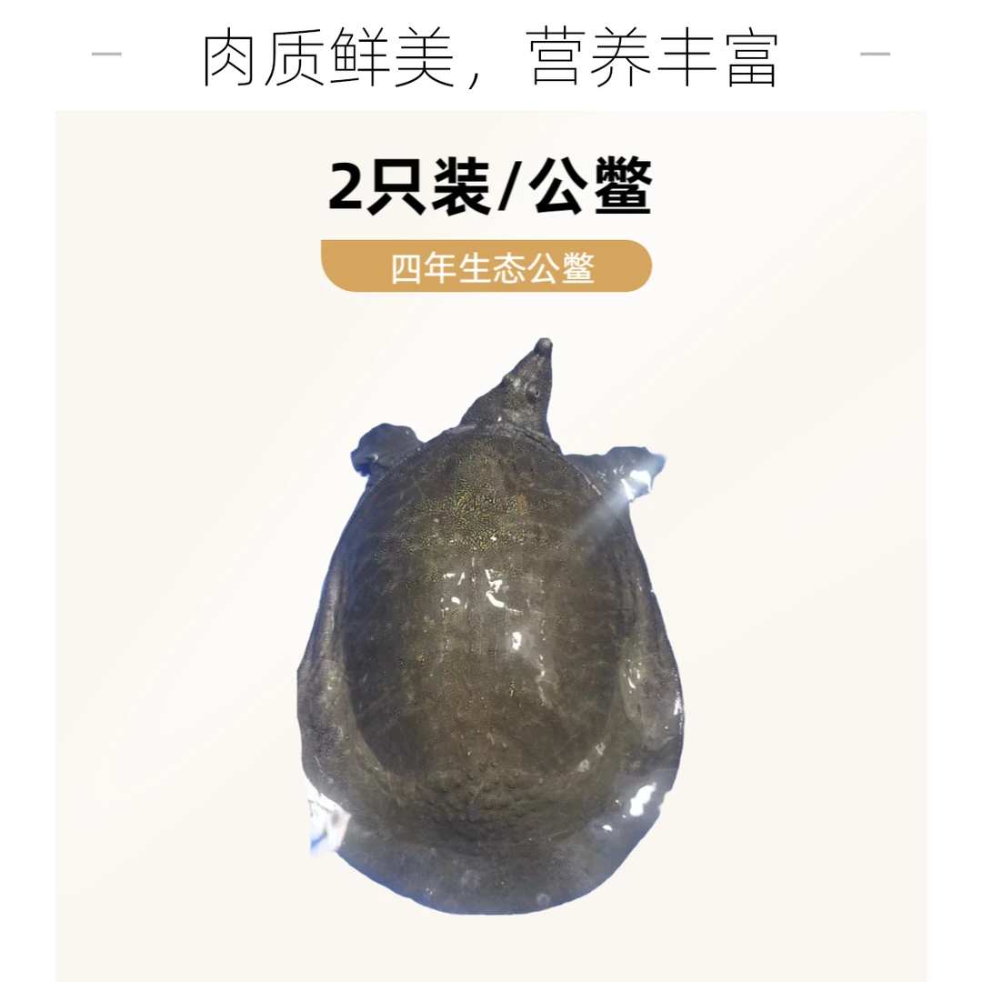 微瑕2只装/自养公鳖/四年生/湖养生态甲鱼/食鱼虾