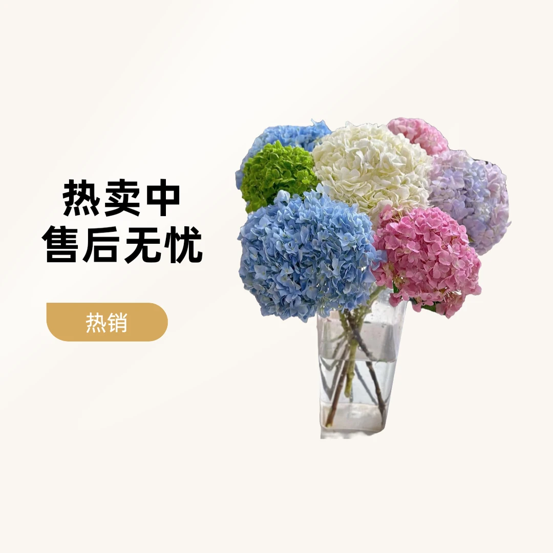 【绣球花蓝色】鲜花批发花店摆地摊专用家居办公室水养鲜花云南直发