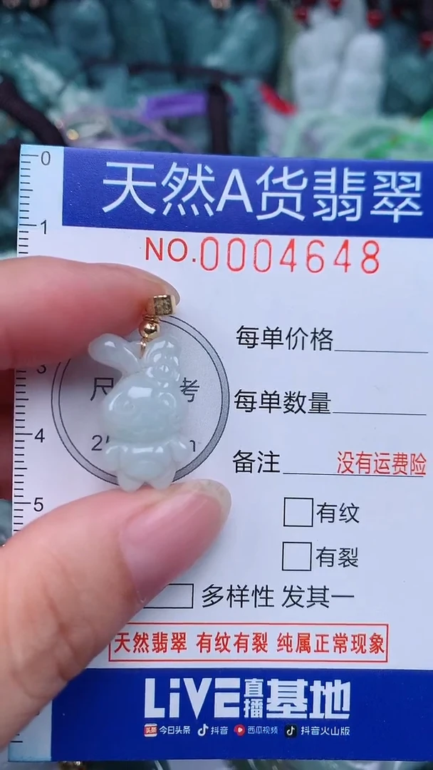 颈饰未镶嵌翡翠...0004648