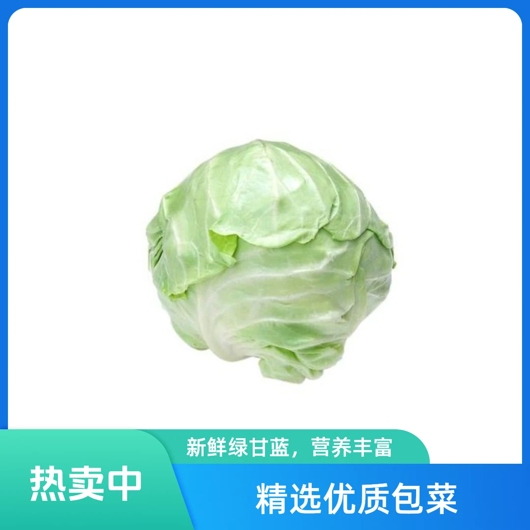 【A39】孢子甘蓝500g