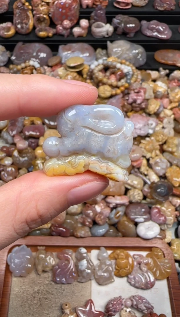 颈饰未镶嵌硅化珊瑚（珊瑚玉）596