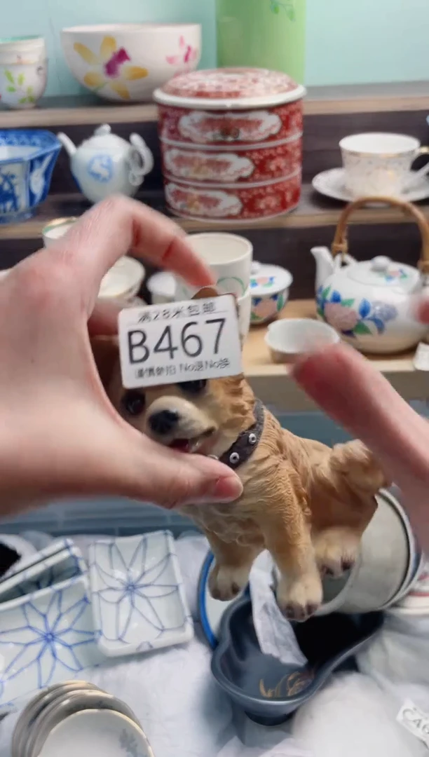 【闪购商品】B467***********