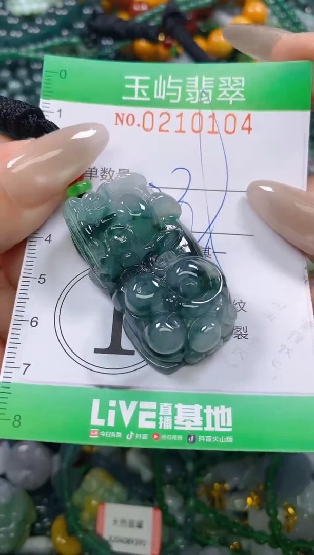 颈饰未镶嵌翡翠叮**～闪购0210104