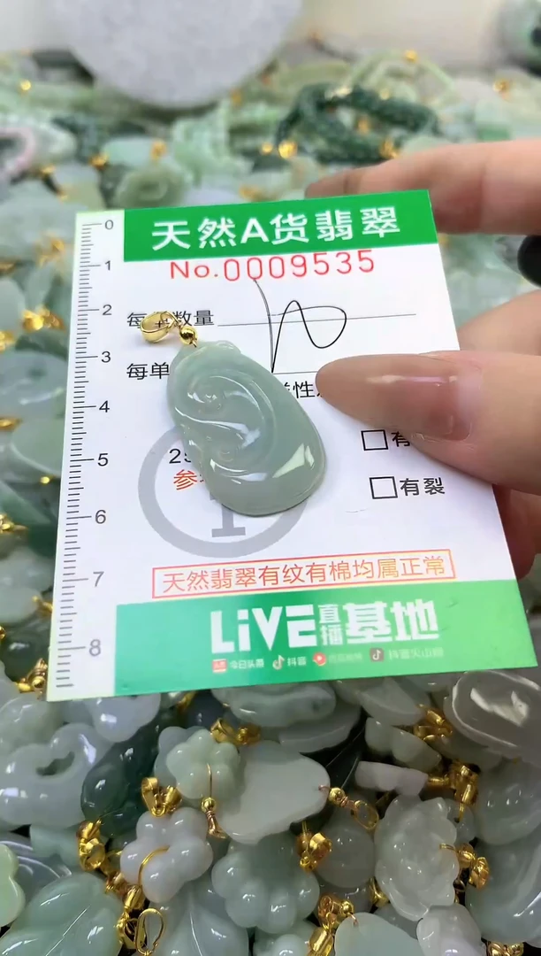 颈饰未镶嵌翡翠未镶嵌纯天然A货翡翠