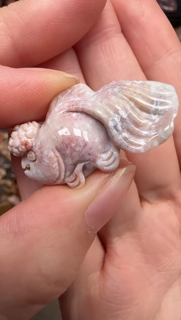 硅化珊瑚（珊瑚玉）未镶嵌颈饰645