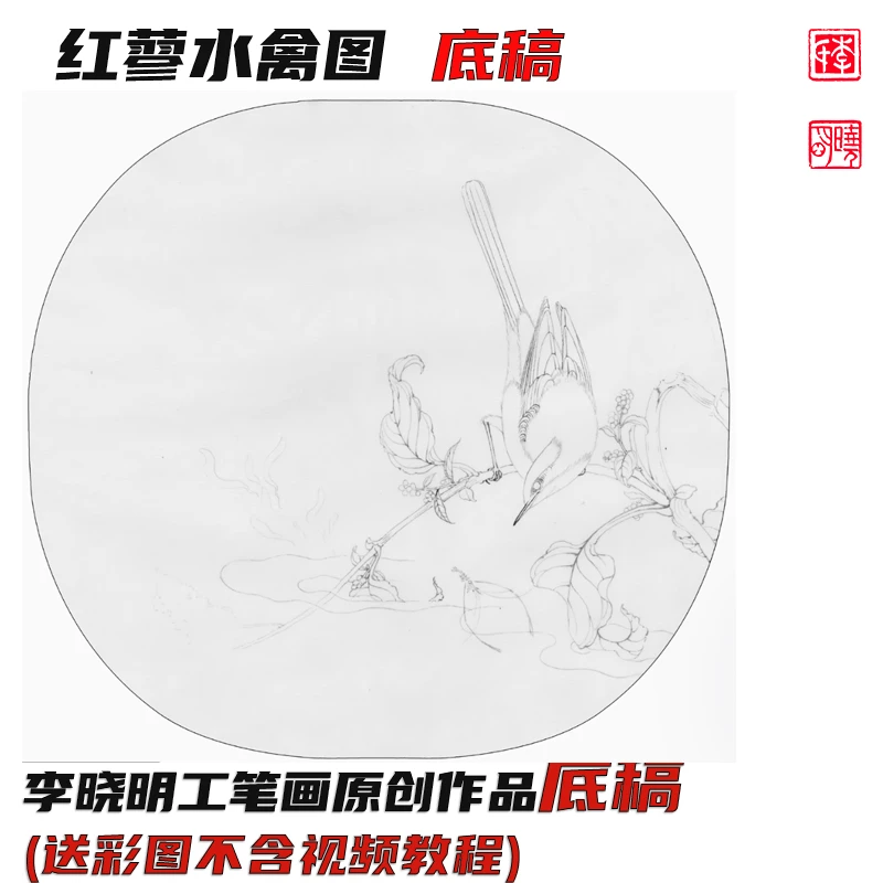 《临宋红蓼水禽图》底稿 李晓明工笔画线稿（含A3彩图）38x36cm