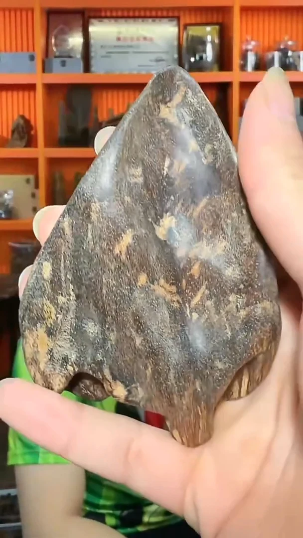 沉香手把件216号包头72g多样性发一