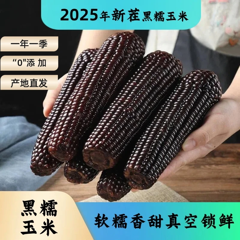 山西2025有机花青素香甜软糯真空黑玉米10支【试吃2支】