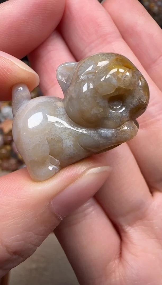 硅化珊瑚（珊瑚玉）未镶嵌颈饰645