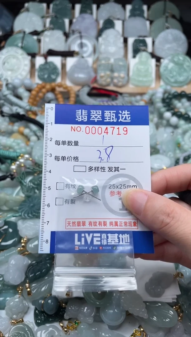 翡翠未镶嵌颈饰00..4719