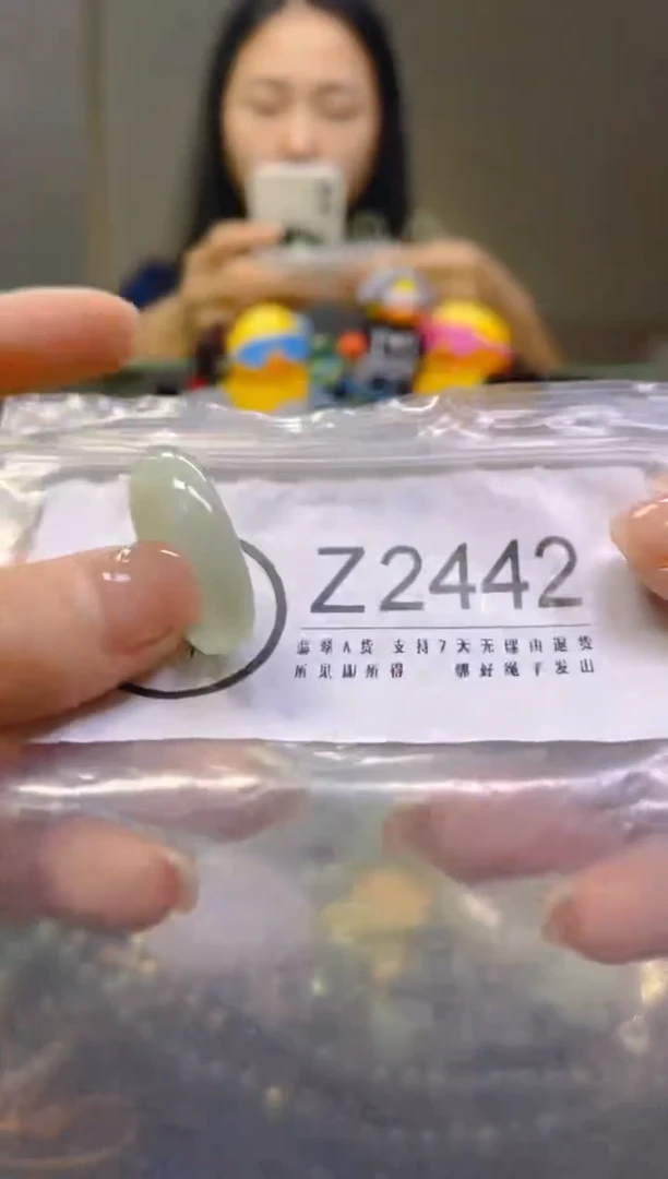 翡翠未镶嵌颈饰19.3/Z/翡翠A货一图一物