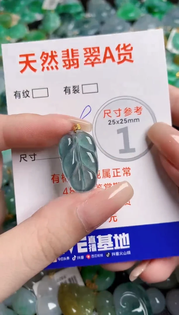 翡翠18K金镶嵌颈饰14003147